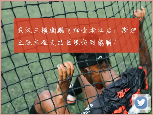 武汉三镇谢鹏飞转会浙江后，斯坦丘独木难支的困境何时能解？